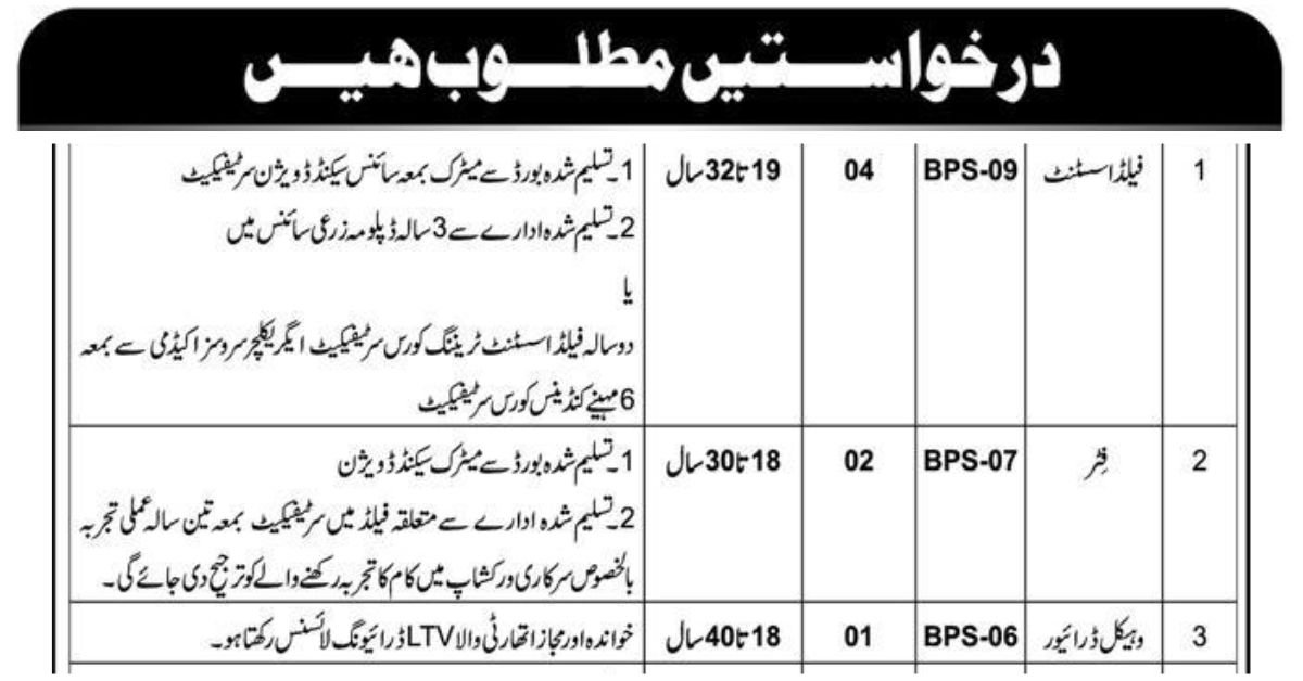 Latest District Government Jobs 2025 in Mardan
